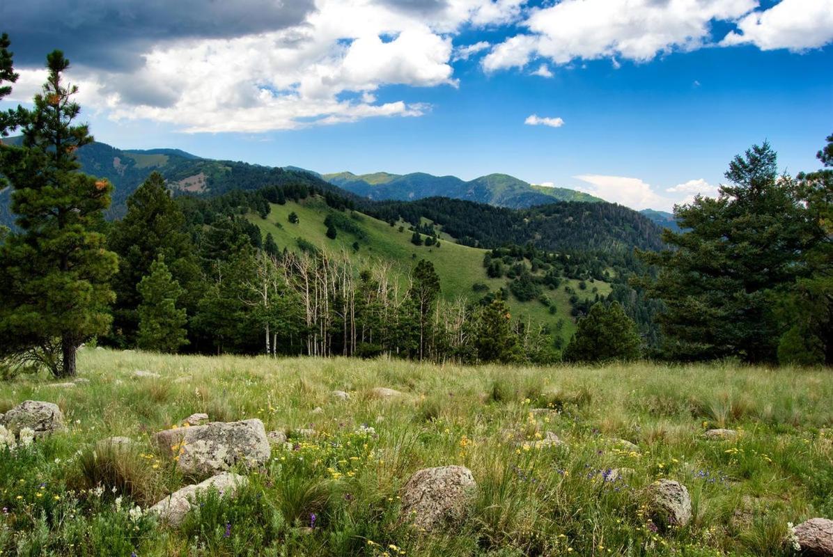 Cozy Cabin, 2 Bedrooms, Fireplace, Midtown, Sleeps 5 Ruidoso Ngoại thất bức ảnh